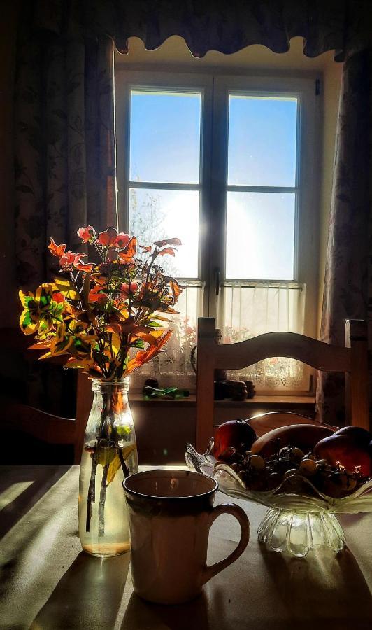 Bed and Breakfast Dwor Na Wichrowym Wzgorzu Przybyslawice Екстер'єр фото