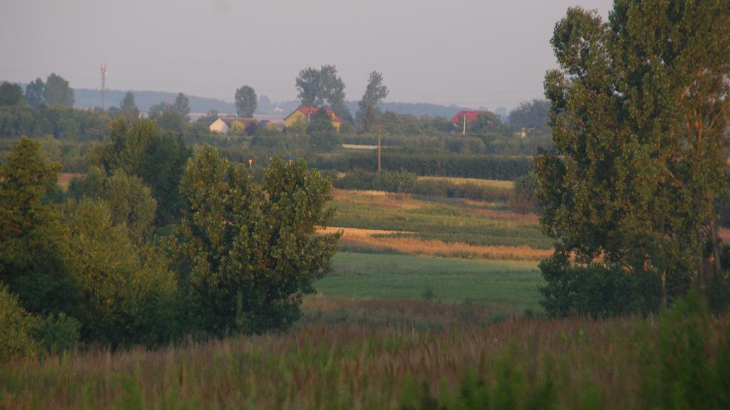 Bed and Breakfast Dwor Na Wichrowym Wzgorzu Przybyslawice Екстер'єр фото