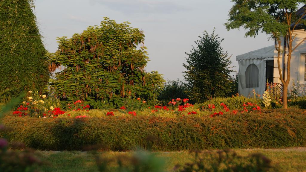 Bed and Breakfast Dwor Na Wichrowym Wzgorzu Przybyslawice Екстер'єр фото