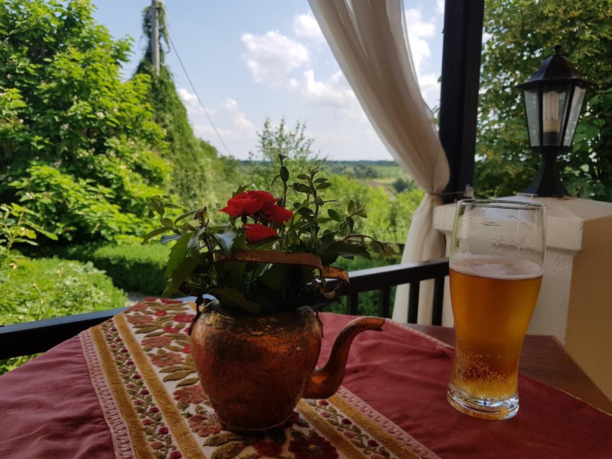 Bed and Breakfast Dwor Na Wichrowym Wzgorzu Przybyslawice Екстер'єр фото